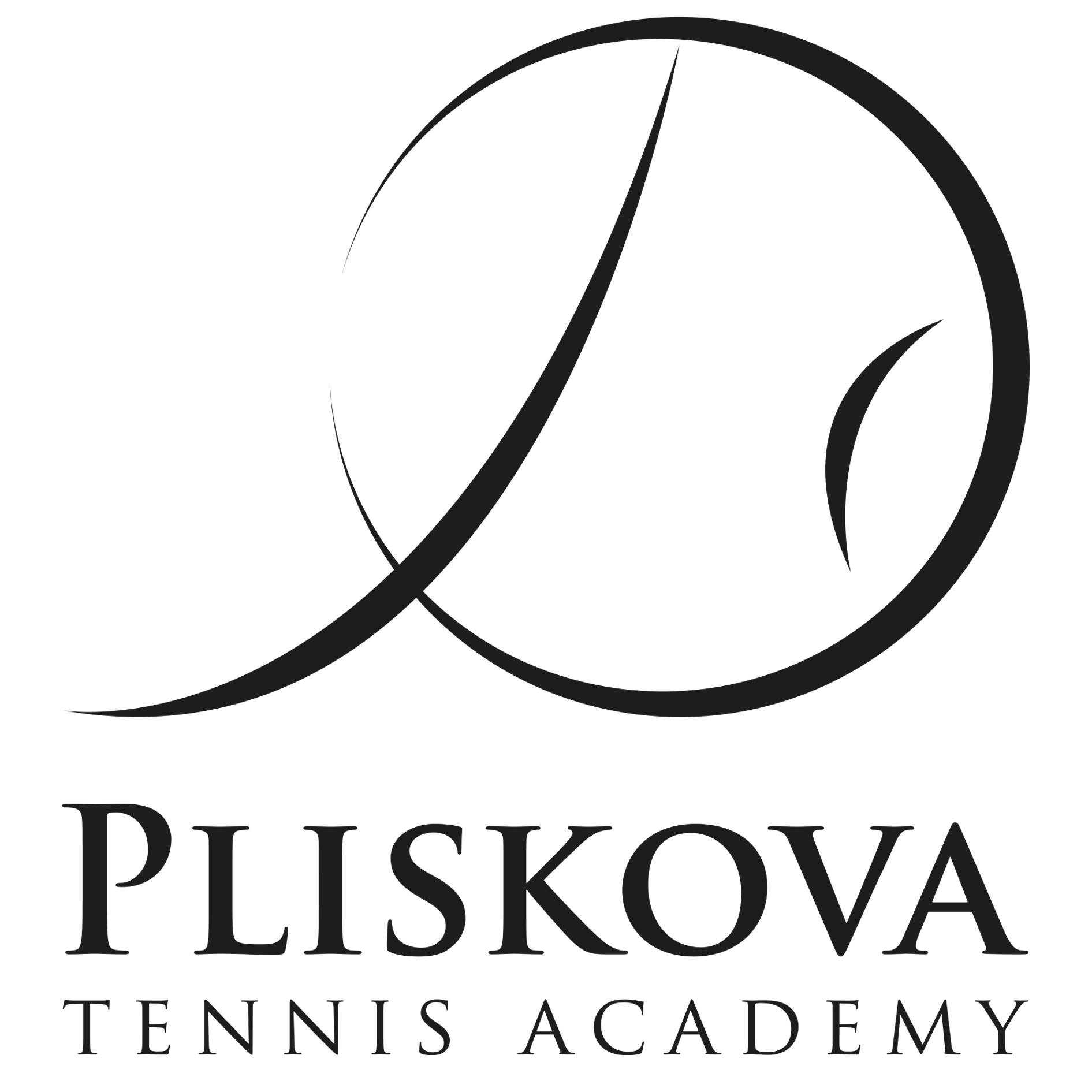 https://pliskovatennis.academy/